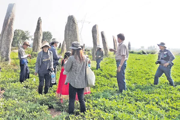 Protection to the rocks - Sakshi