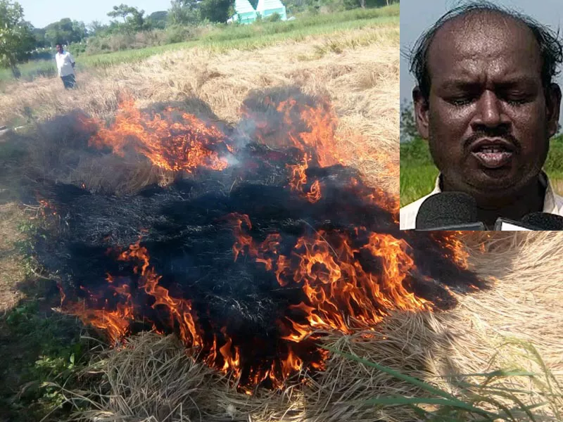 farmer fires his crop - Sakshi