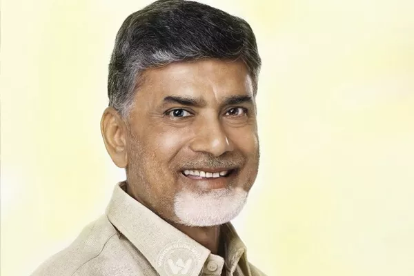 CM Chandrababu reached Delhi - Sakshi