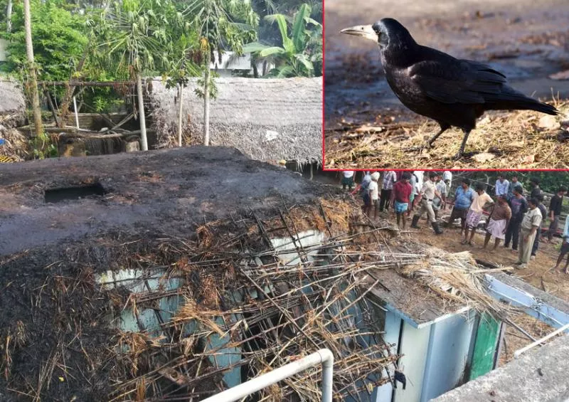 crow fires home karthika pornami day - Sakshi