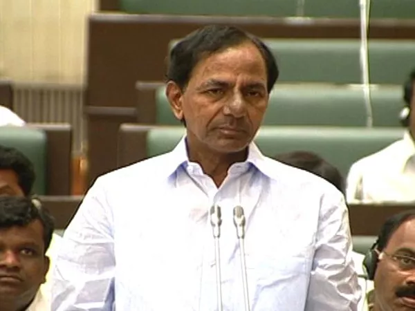 cm kcr speech on cotton farmers in telangana assembly - Sakshi