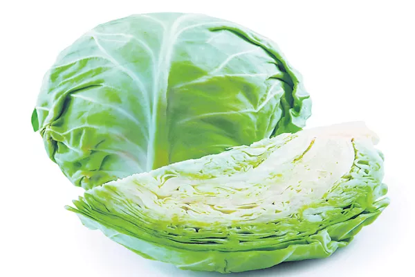 uses of Cabbage - Sakshi