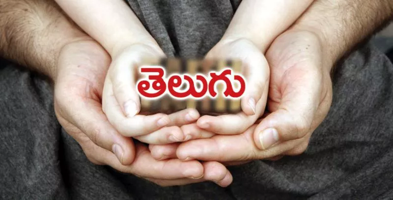 special stoty telugu mahasabalu - Sakshi