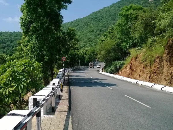 skull found at tirumala ghat road - Sakshi