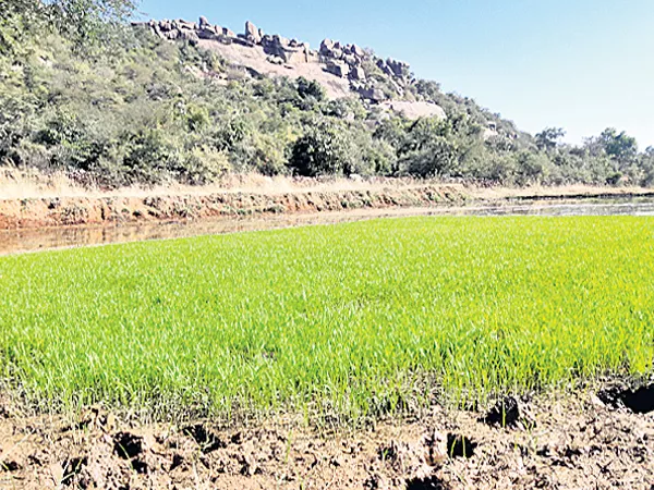 mining zone at yacharam in rangareddy district - Sakshi