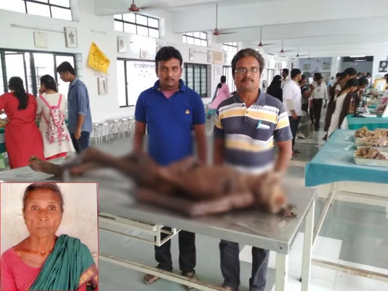 Sons look back Mother death ded body after one year - Sakshi