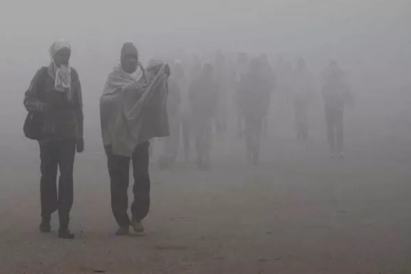 Adampur coldest in Punjab at 3.7 C - Sakshi