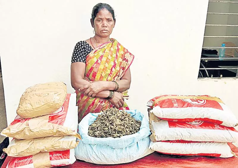 woman smuggler arrest in Marijuana transport - Sakshi