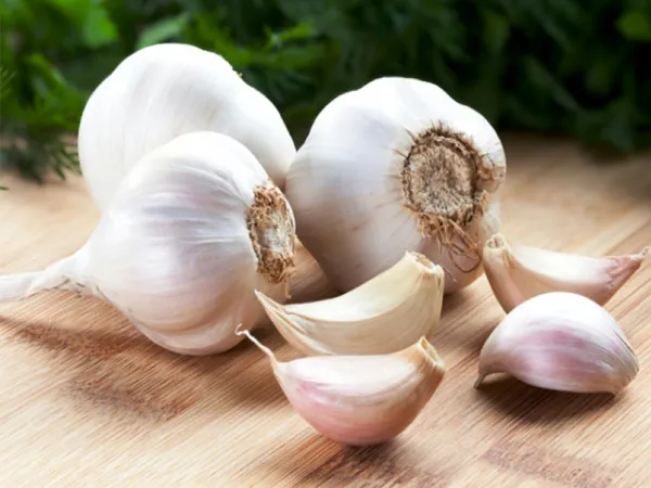 Garlic Compound Could Kill Superbugs - Sakshi