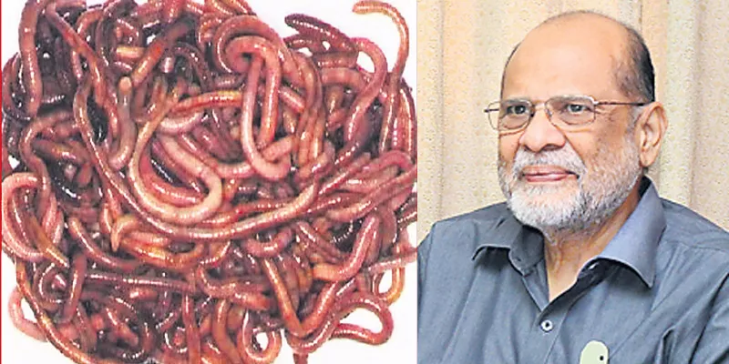 Earthworm is the pulse of the soil - Sakshi