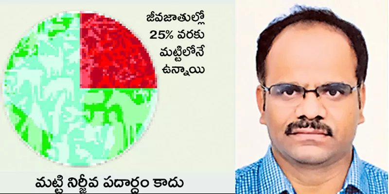 Glyphosate not a health threat says scientists - Sakshi