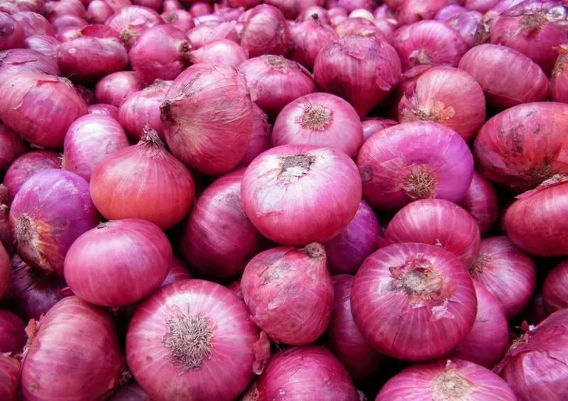 Onion price up at Rs 50-60/kg; Government says will cool down soon  - Sakshi