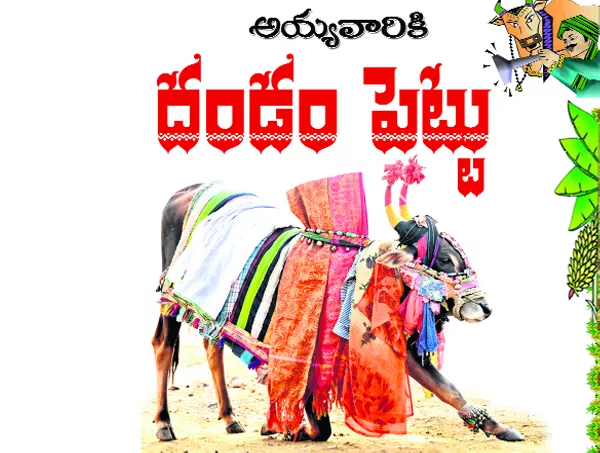 special story on sankranthi and gangireddu melam - Sakshi