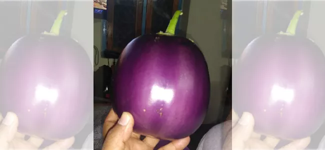 1.5 kg each Eggplants in veeraghattam market - Sakshi