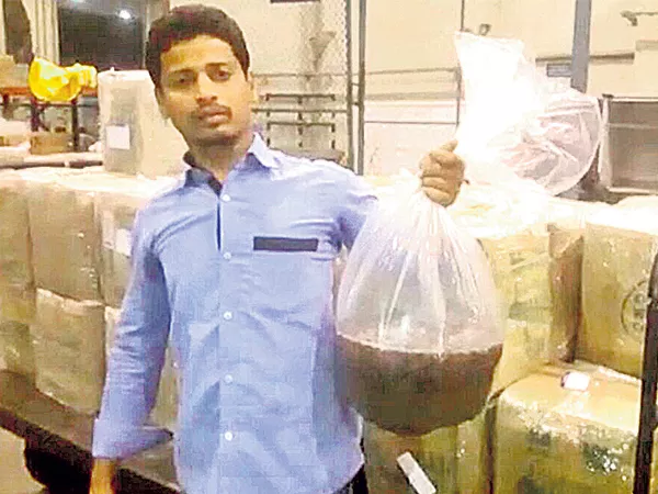  Catfish smugglers nabbed at Hyderabad airport - Sakshi