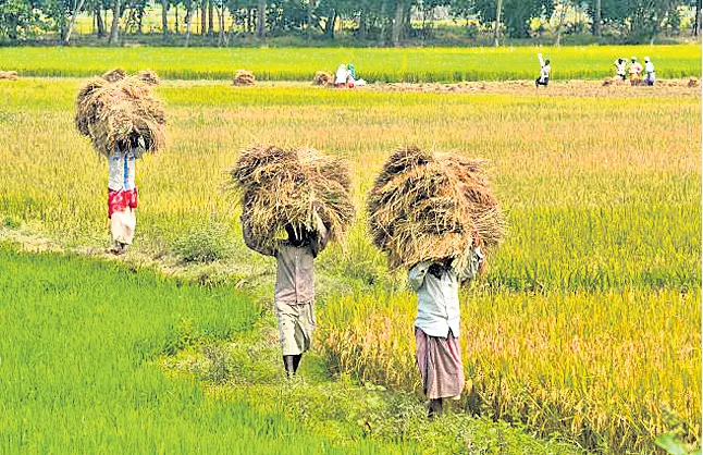 The youth of the country is irresistible on agriculture - Sakshi