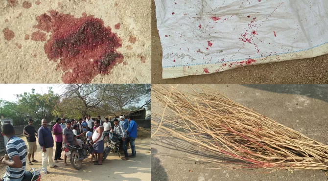 Blood drops in Rolla banda thanda in Suryapet - Sakshi