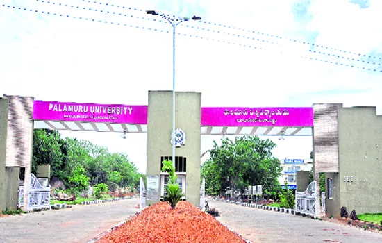 palamuru university facing Faculty problem - Sakshi