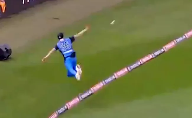  Fielders Team Up To Take The Best Catch You will Ever See - Sakshi