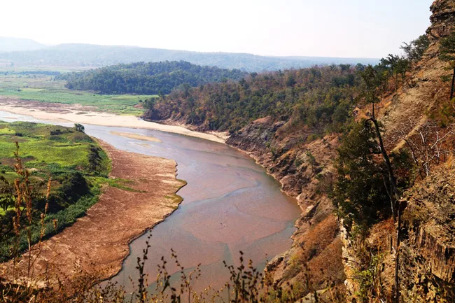 awesome forest scenaries in kagajnagar - Sakshi