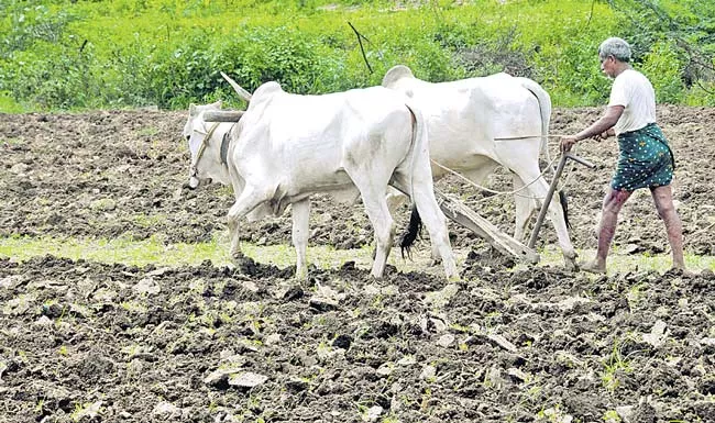 Rs 9,700 crore for farmers' investment - Sakshi