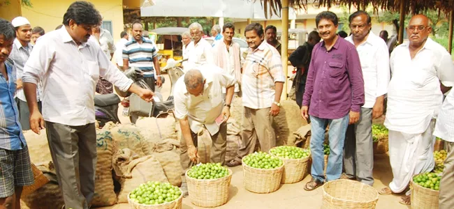 commision agents harrase to lemon farmers - Sakshi