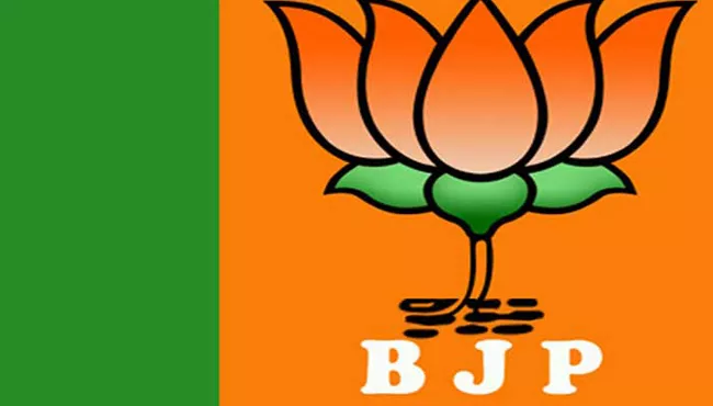 Anand Singh of BJP to join Congress in February - Sakshi