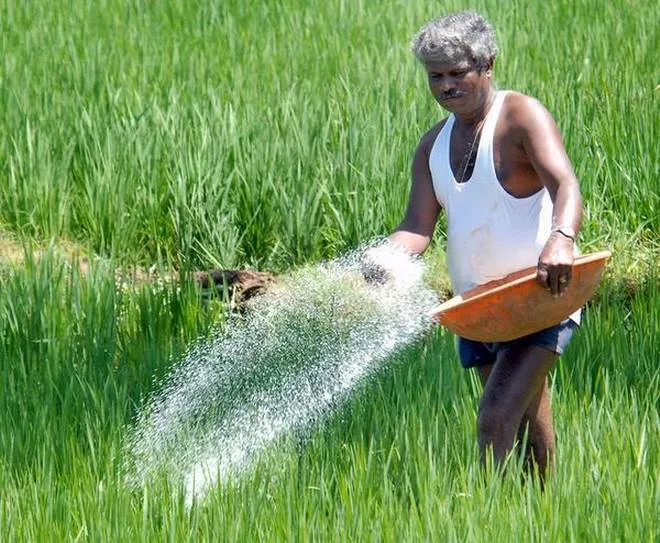 fertiliser companies planning to increase fertilisers prices - Sakshi