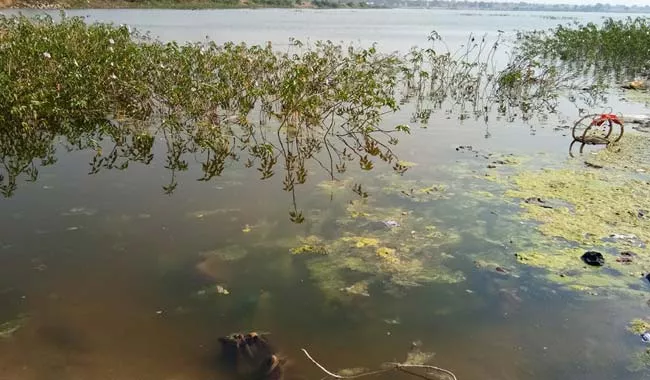 polluted lakes - Sakshi