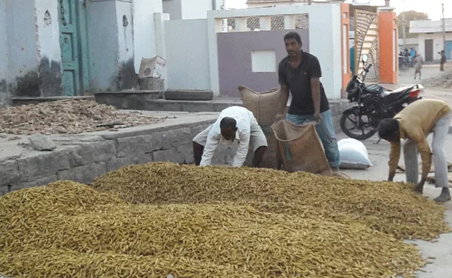 turmeric farmers are trouble due to lack of support price - Sakshi