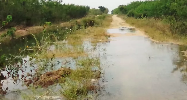 canal water wastage on road - Sakshi