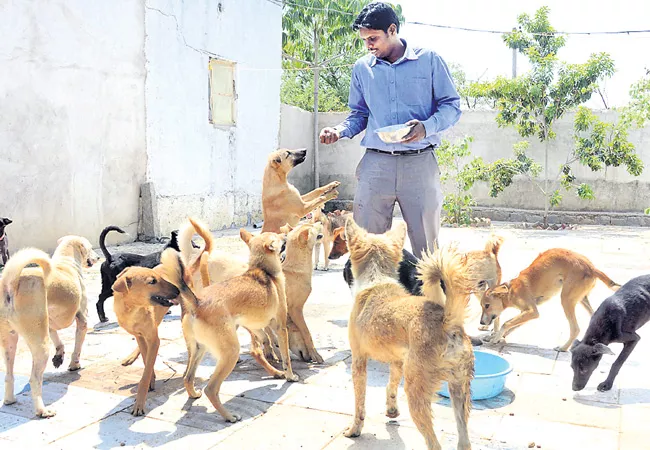 mahesh vijapurkar write article on dogs in cities - Sakshi