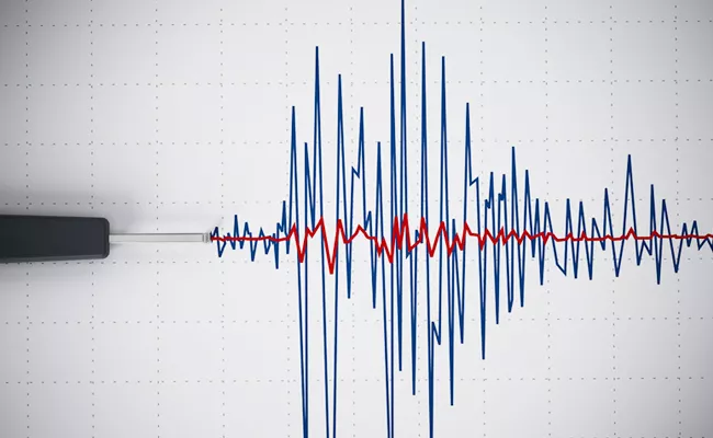 earthquake in Afghanistan's Hindu Kush; tremors felt in Delhi - Sakshi