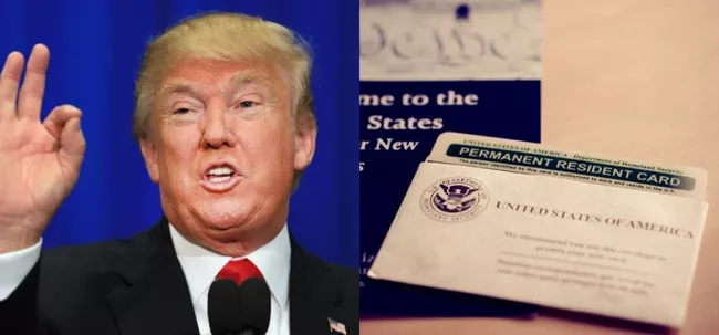 Donald Trump on green cards - Sakshi