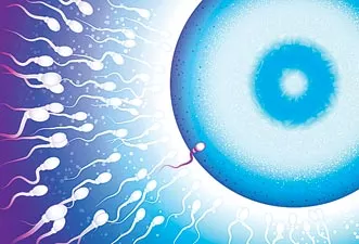 Novel sperm-sorting device could improve IVF success - Sakshi