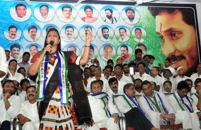 ysrcp leaders fires on tdp government in nellore Youth Conference - Sakshi