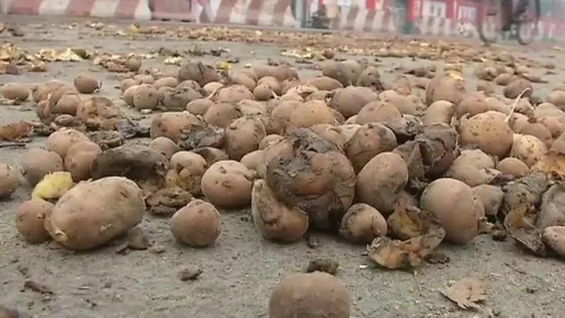 farmers dump potatoes outside Yogi home - Sakshi