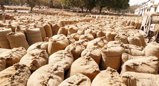 Groundnut stocks strucked in mills - Sakshi