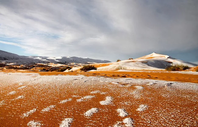 rare snowfall to Sahara Desert - Sakshi