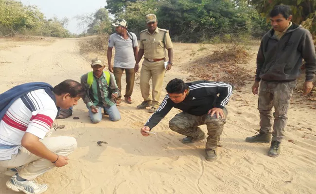 wildlife counting survey completed in mancherial - Sakshi