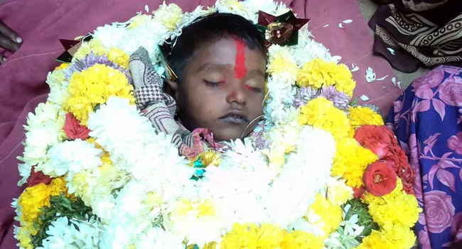 boy dead in bees attack - Sakshi