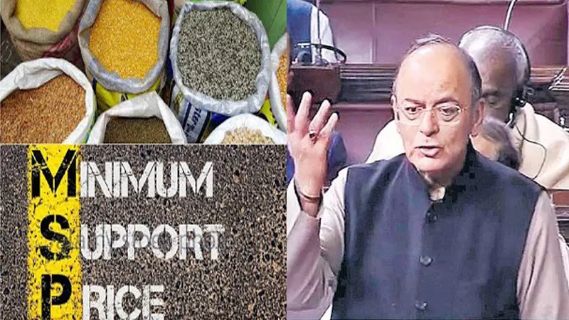 Jaitley clarifies on cost parameter to calculate MSPs to be paid to farmers - Sakshi