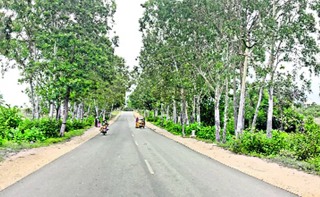 nine thousand trees collapsed for road expansion - Sakshi