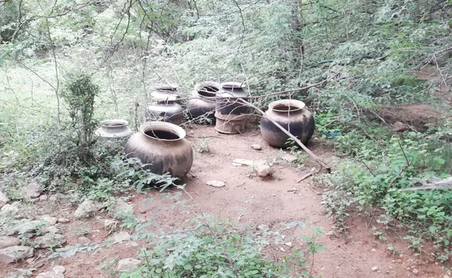 Natusara in nallamala forest - Sakshi