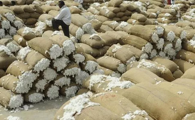 cotton prices moved up and down at peddapalli market - Sakshi