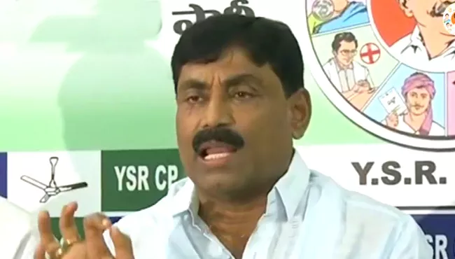 ysrcp leaders slams tdp government - Sakshi