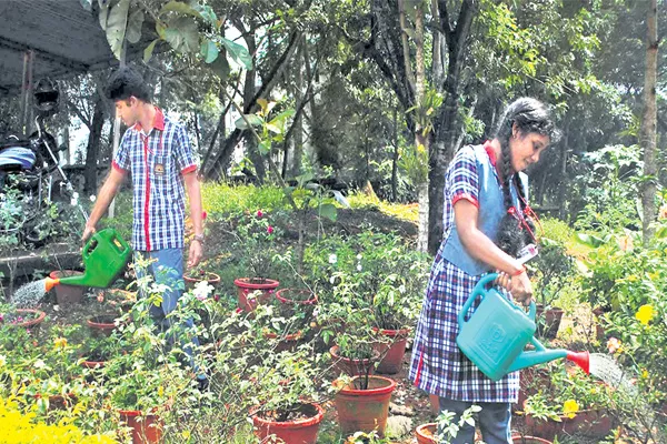 They are ecological schools - Sakshi