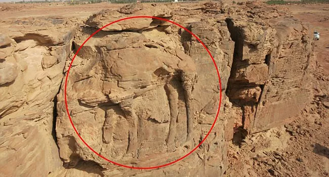 Life Sized Camel Sculptures Discovered in Saudi Arabia - Sakshi