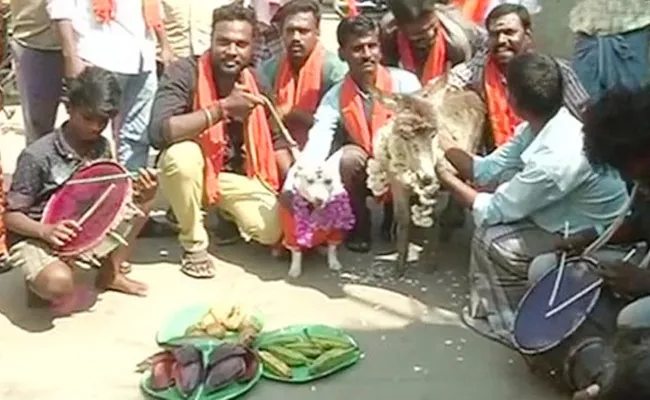 Dog, donkey married amid Valentine's Day protest in Chennai - Sakshi