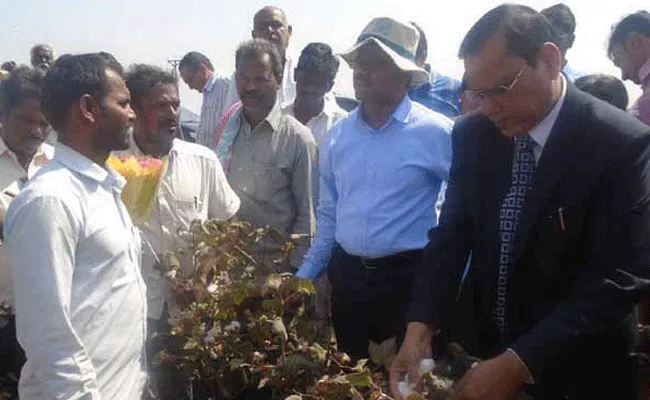 government banned bt seeds even it produced in gadwal - Sakshi